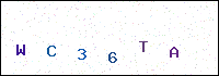 Security CAPTCHA